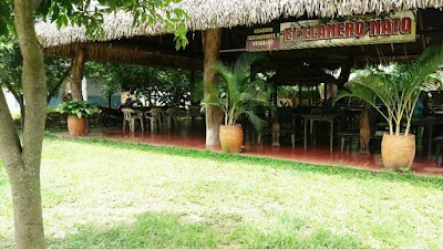 Photos of Asadero Nato