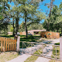 Photo n°1 de Carré Habitat33 L’immobilier du Ciron 33730 à Noaillan (Agence immobilière)