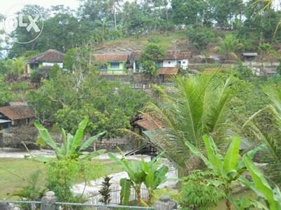 Photos of RM & Pemancingan Novi