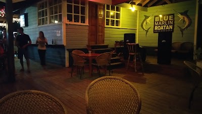 Photos of Blue Marlin
