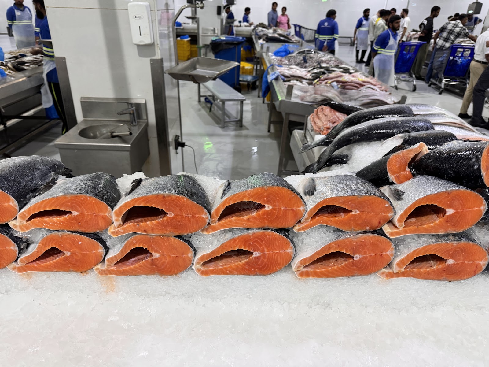 Mohsen&Sajwani Seafood Trading LLC - صورة 4