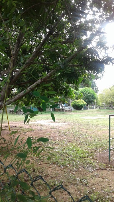 Photos of Children's Playground