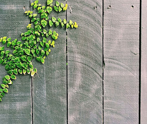 Photo n°2 de Le Bar de la Vallee à Jouy (Bureau de tabac)