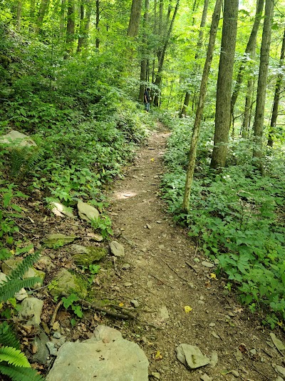 Appalachian Trail