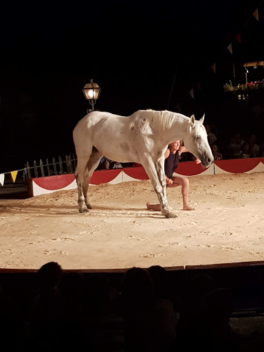 Cinema Gulliver - Visual