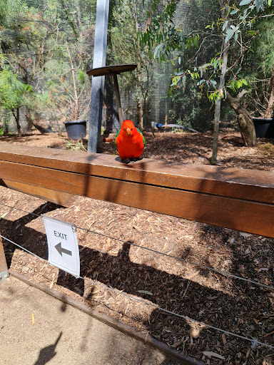 Bendigo Botanic Gardens Playground Gallery - Australia