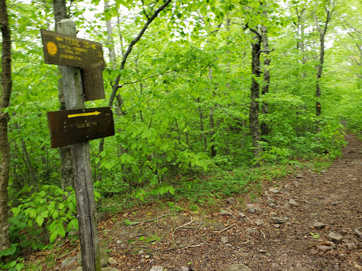 Slide Mountain Wilderness - Thumbnail