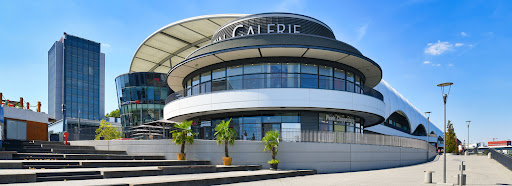 Immobiliengesellschaft mbH der VR Bank Rhein-Neckar eG Ludwigshafen