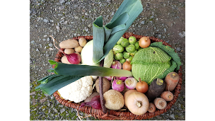 Photo n°2 de Terrier à Loire-Authion (Primeur)