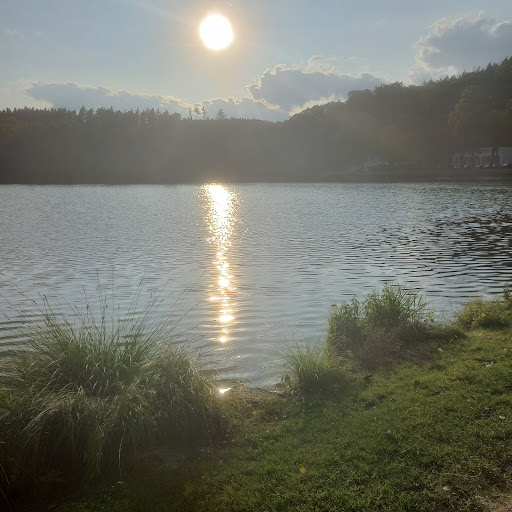 Pflegeheim am Hammerteich - Visual