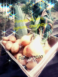 Photo n°53 de Le Domaine des Minis à Arvert (Ferme)