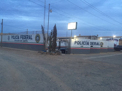 Policía Federal de Ensenada Logo