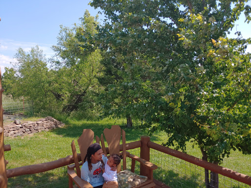 Osage Creek Cabins - Pappy's Cabin - Thumbnail