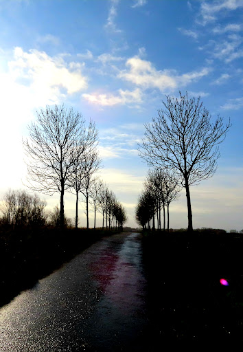 Blankershovevijver - Thumbnail