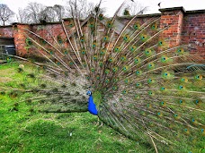 Heaton Park Animal Centre manchester