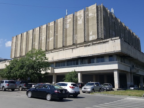 Central library of Tbilisi State University, Author: David Ghonghadze