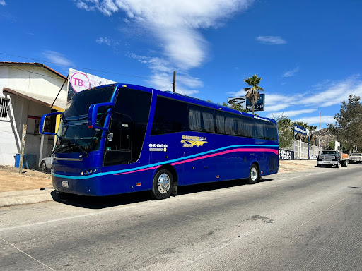 Terminal de Autobuses TBC (Transporte de Baja California)