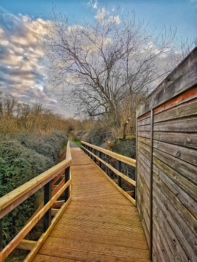 Linford Lakes Nature Reserve - Permit Only Site - Thumbnail