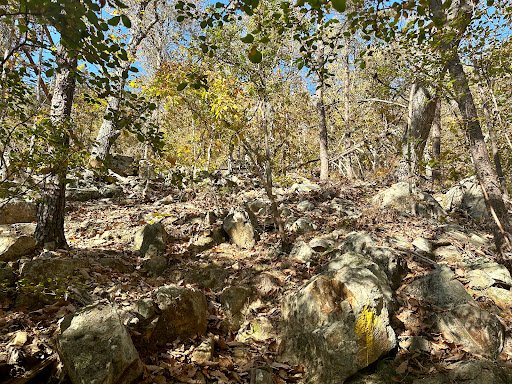 Dutchman's Creek Trailhead