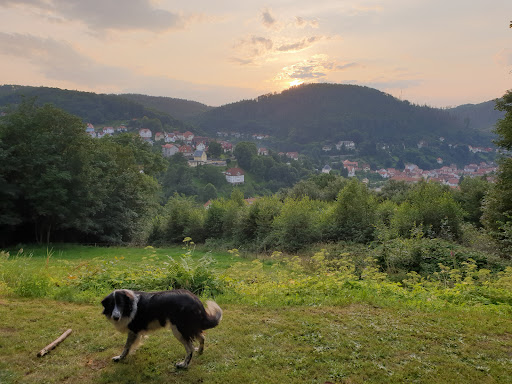 Waldhaus Hutzelhöh - Visual