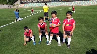 Photos of Municipal stadium in Los Lagos