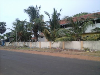 Photos of adampan MMV
