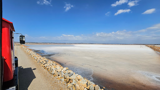 Salinas de Torrevieja
