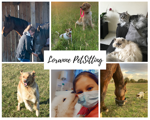 Loranne PetSitting