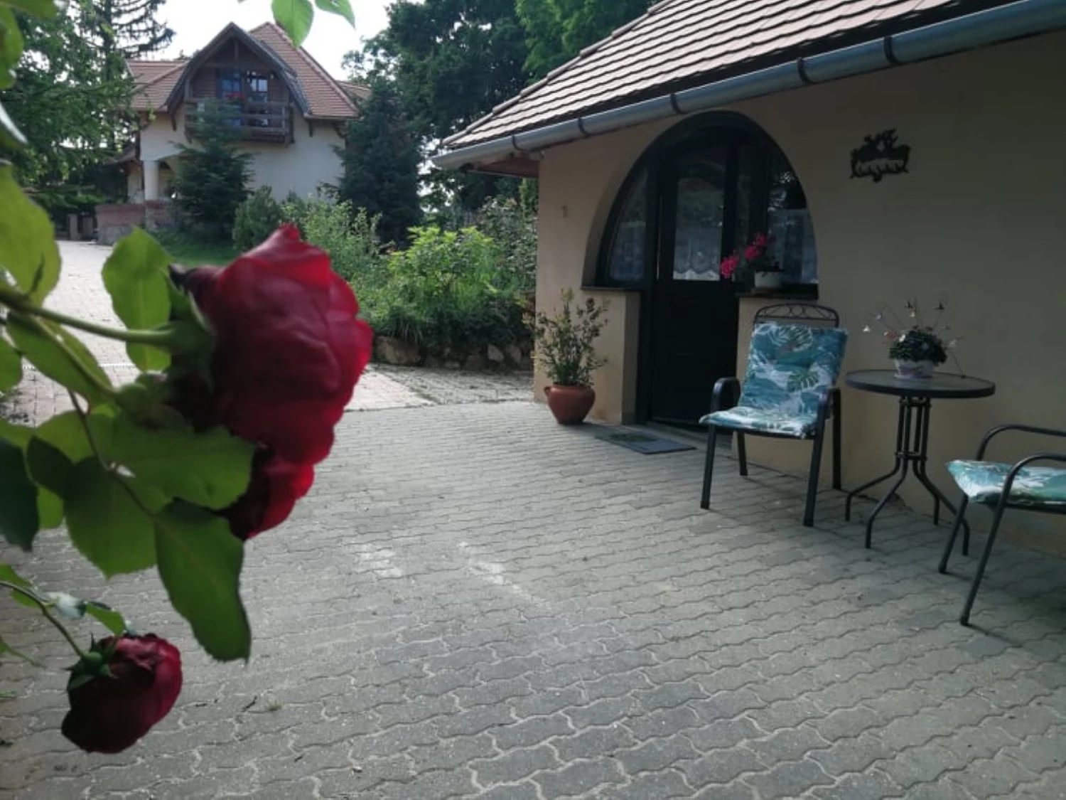 Zöld Oliva Apartman