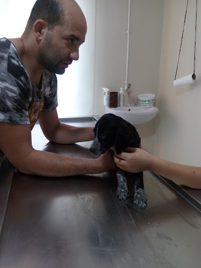 Photos of BALKAN VET. KLİNİĞİ ULU&Ccedil; ERKAN