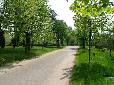 Photos of Nemzeti L&oacute;verseny Kft.