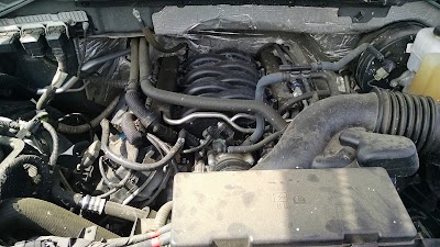 Photos of Bryan Honda