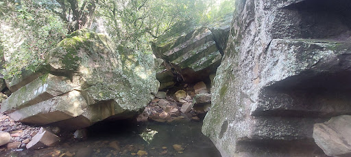 Sawn Rocks walking track - Thumbnail