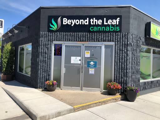 BEYOND THE LEAF - Thumbnail