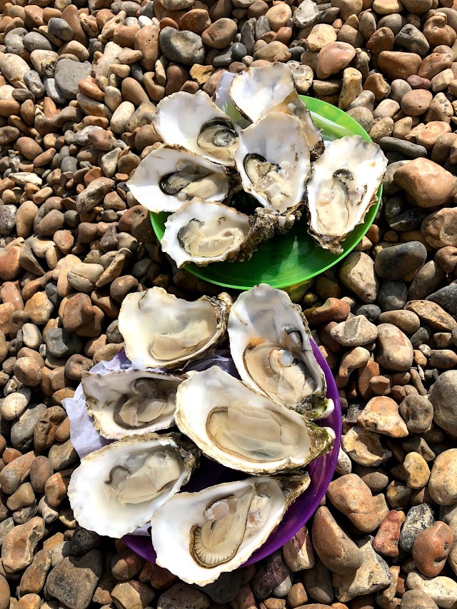 Brighton Shellfish & Oyster Bar