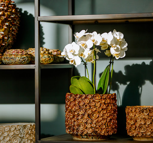 Blumen Fixl - Visual