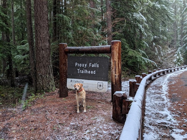Proxy Falls Trailhead