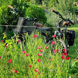 Photo n°8 de L'écolodge du ruisseau à Saint-Pierre-de-Bat (Gîte)