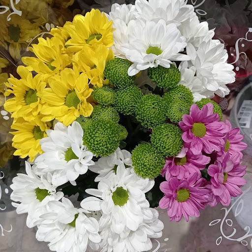 Floristería Santa Isabel - Thumbnail