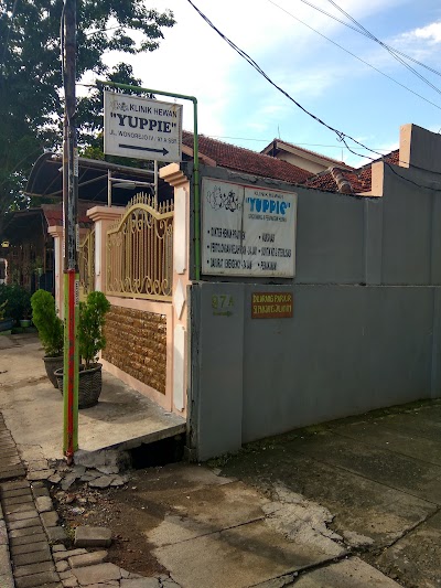 Photos of Animal Clinic Yuppie