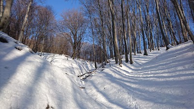 Photos of Манастирче ,,Покров Богородучен''