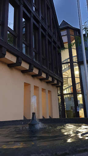 Mother of Beethoven House - Thumbnail