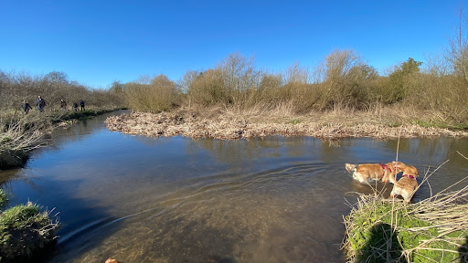River Chess - Visual