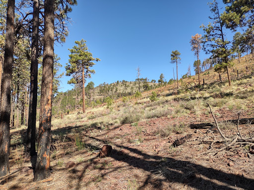 Kendrick Mountain Wilderness - Thumbnail