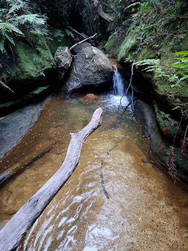 Centennial Grove Grotto "Canyon" - Thumbnail