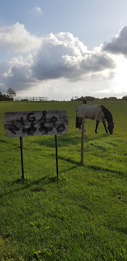 Nygård - Visual