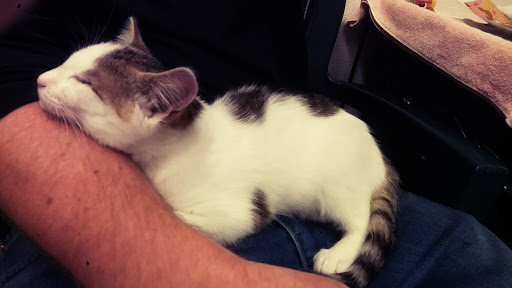Clatsop County Animal Shelter - Thumbnail