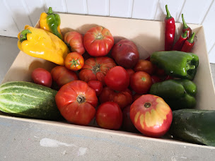 Photo n°42 de Gîtes des Embruns à Agon-Coutainville (Chambre d'hôtes)