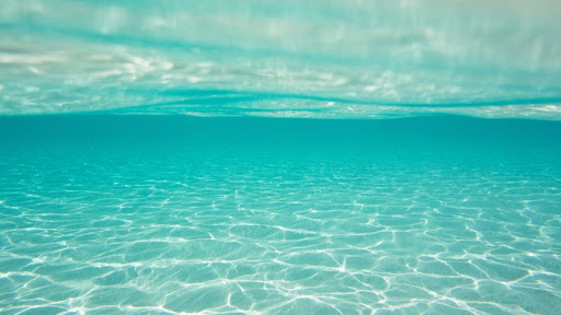 Photo de Piscine à marée de Cancale