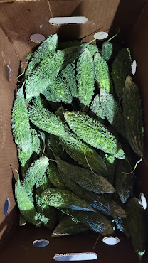 India Imports by null